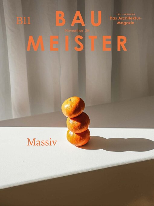 Cover image for Baumeister